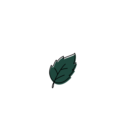 https://www.besseve.com/wp-content/uploads/2023/11/4.png