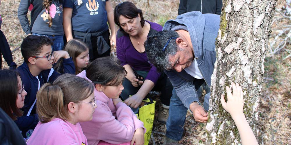 Le Buisson-de-Cadouin : une sortie pour découvrir la sève de bouleau dans la forêt de la Bessède